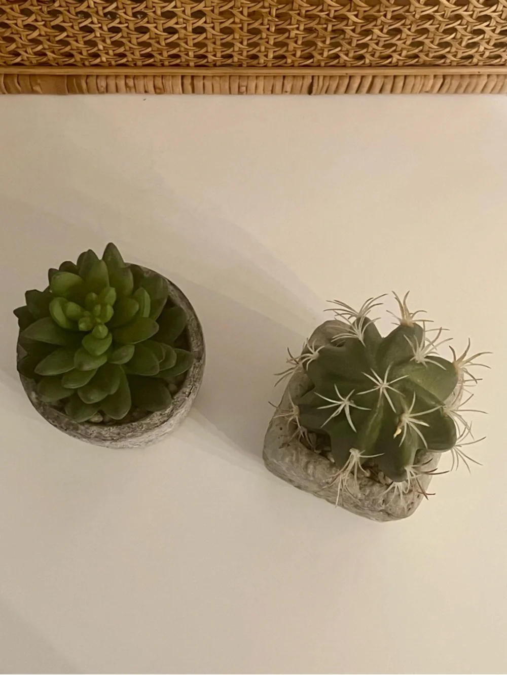 Mini Cactus & Succulent Concrete Planter Home Decor Bundle Set